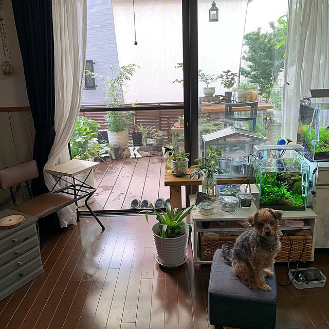 kuroさんの実例写真