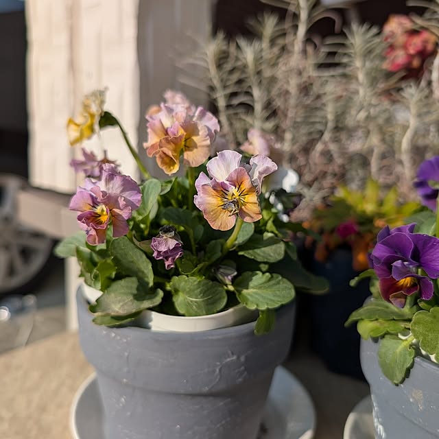 KOHAKUさんの部屋