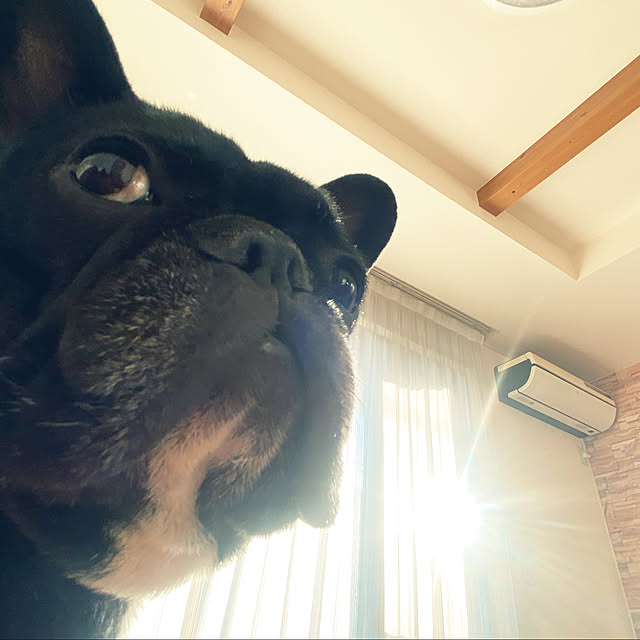 the.shooterさんの実例写真