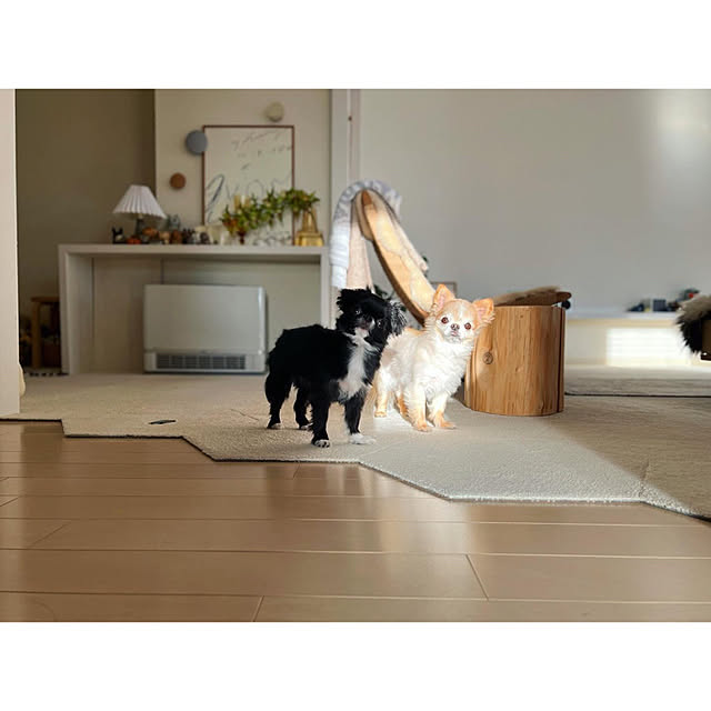 haruhinaさんの実例写真
