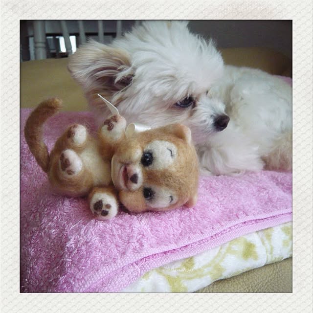 ksyanさんの実例写真