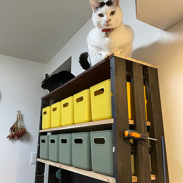 coolcats0528さんの部屋