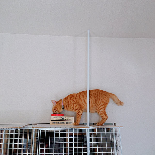 kikiさんの実例写真