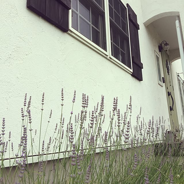 fukuさんの実例写真