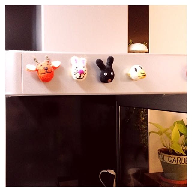 vanillaskyさんの実例写真
