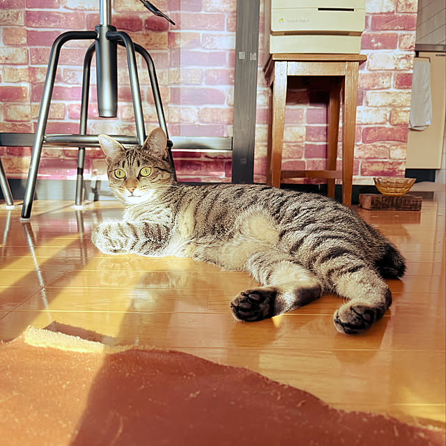 Mさんの実例写真