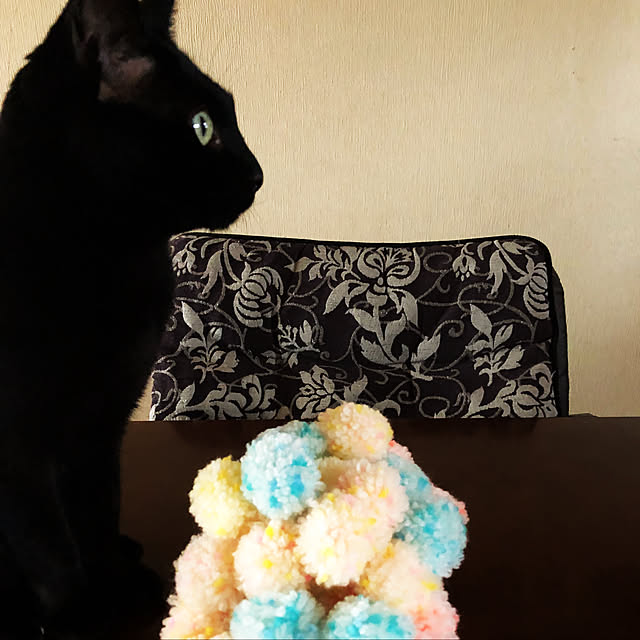 julyさんの実例写真