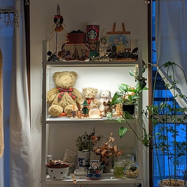 mi-saさんの部屋