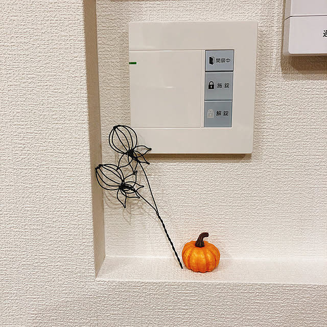 cocoa_さんの実例写真