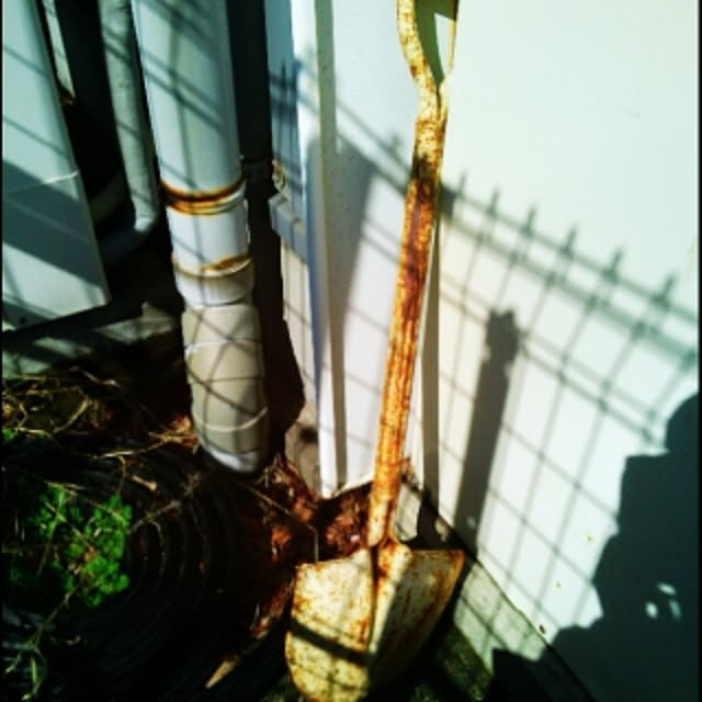 kotaさんの実例写真