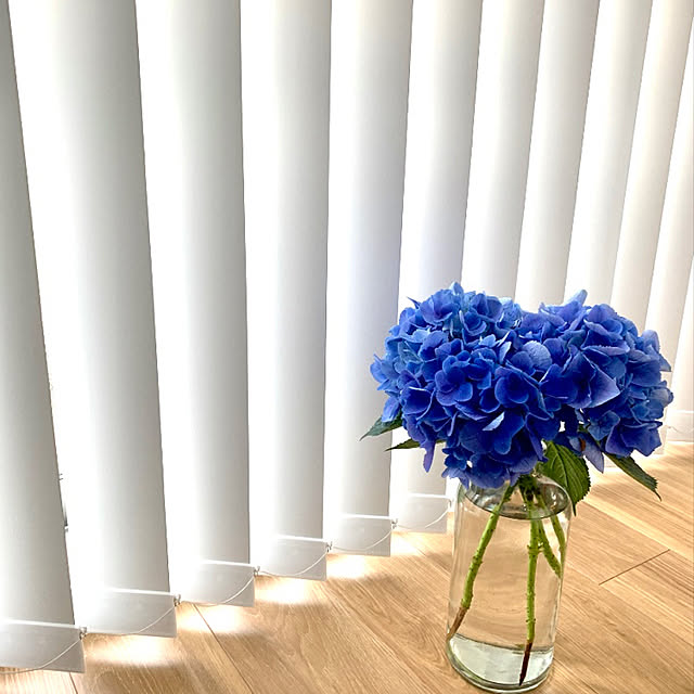 花瓶/バーチカルブラインド/花のある暮らし/紫陽花/バーチカルブラインド実はグレー...などのインテリア実例 - 2021-06-11 17:44:45