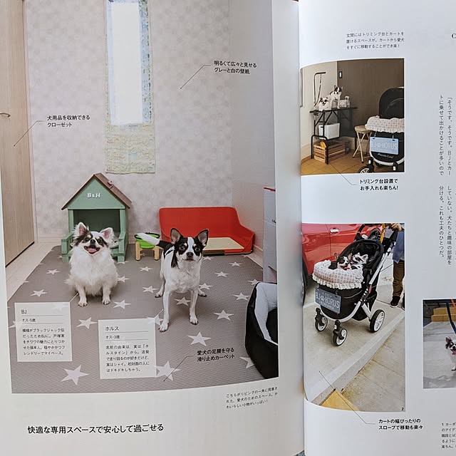 bjhorusさんの実例写真