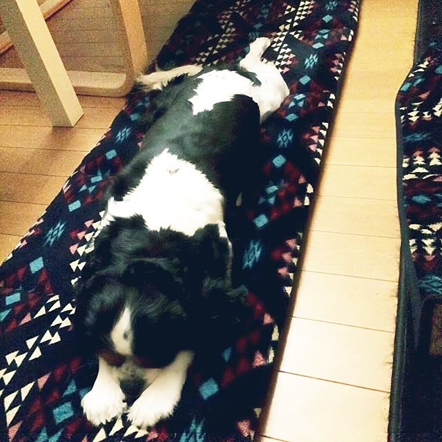 miiwaaさんの実例写真