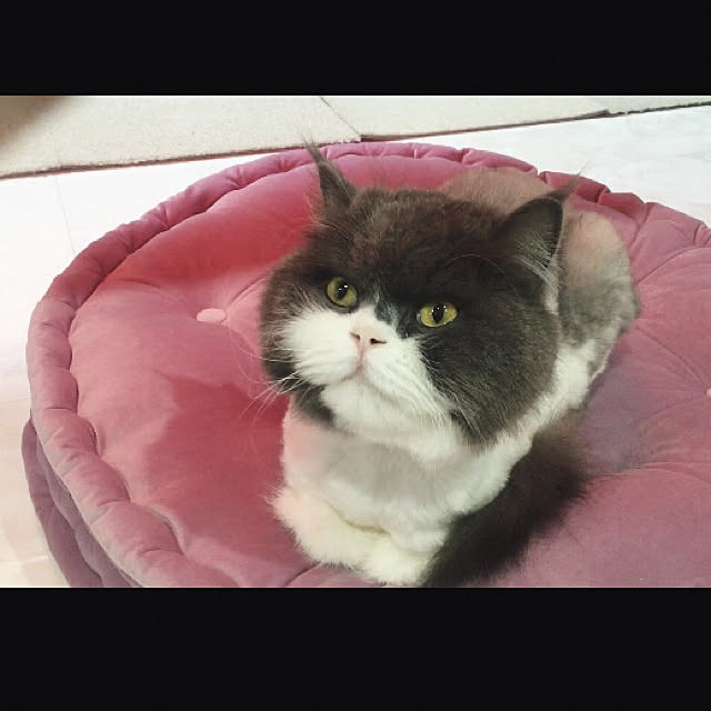 miyuさんの実例写真