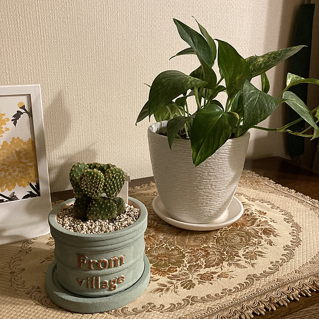 mamimamiさんの実例写真