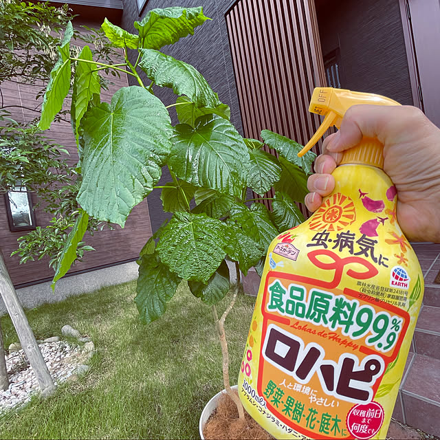 seiさんの実例写真