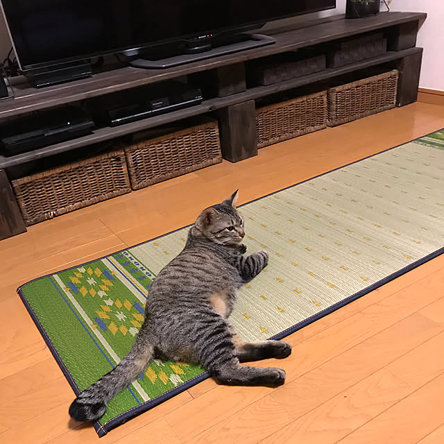 mikan161さんの実例写真