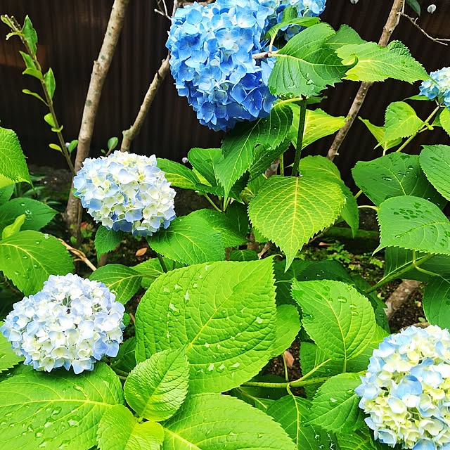 katさんの部屋