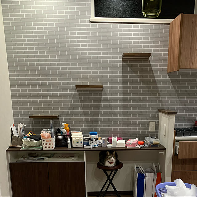 ayuさんの実例写真