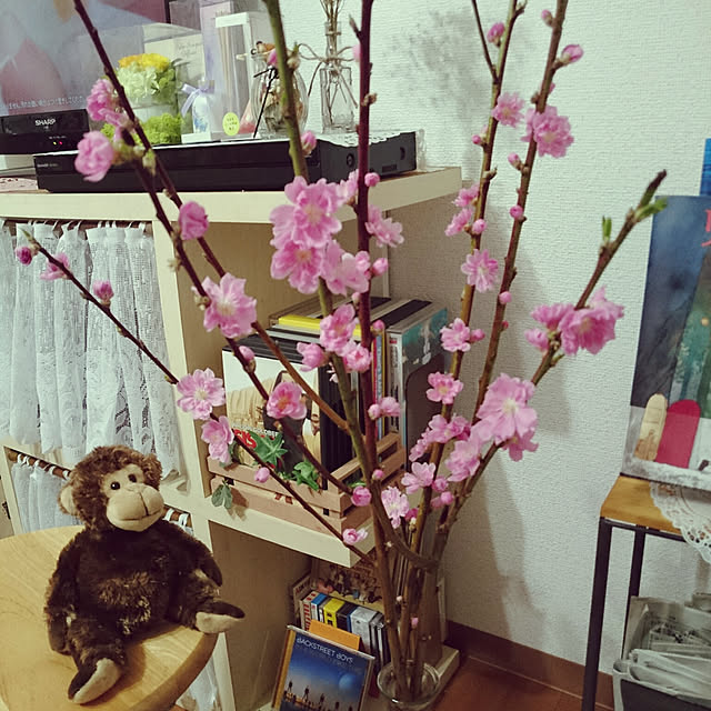 zunnchiさんの実例写真