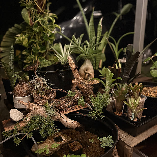 GiriGiriさんの実例写真