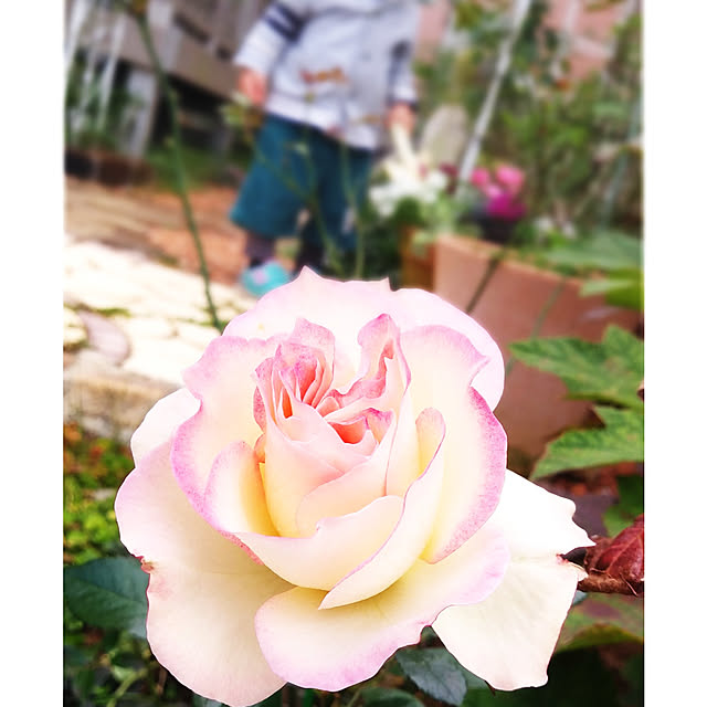YU-KAさんの実例写真