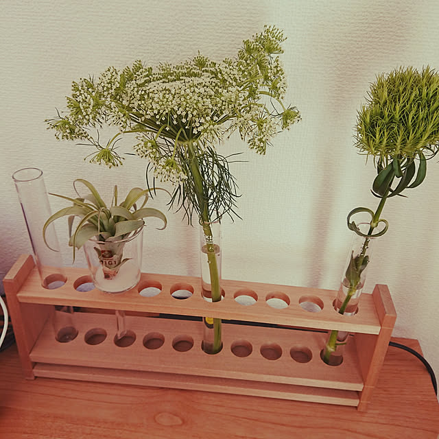 horohorotoriさんの実例写真