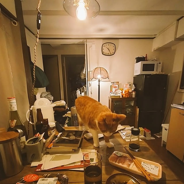 unkoさんの実例写真