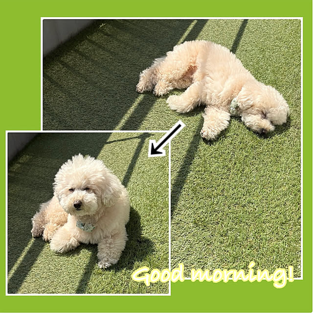 madamkaoriさんの部屋