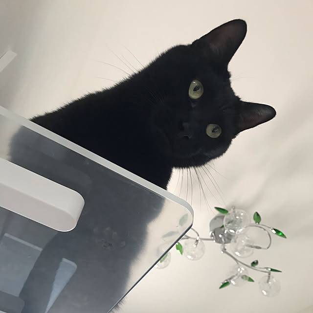 kouheiさんの実例写真