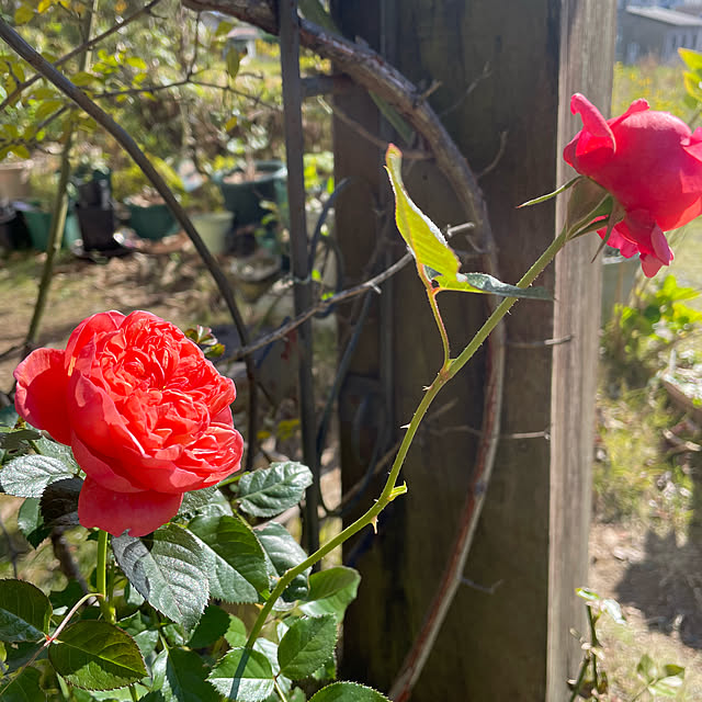 natsumiさんの実例写真