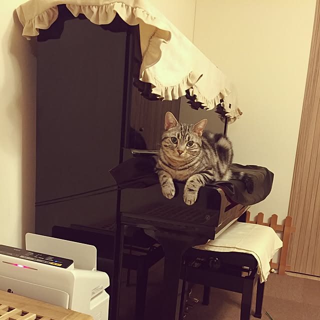 y.k.0123さんの実例写真