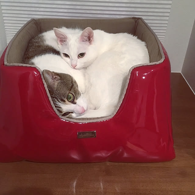 karenさんの実例写真