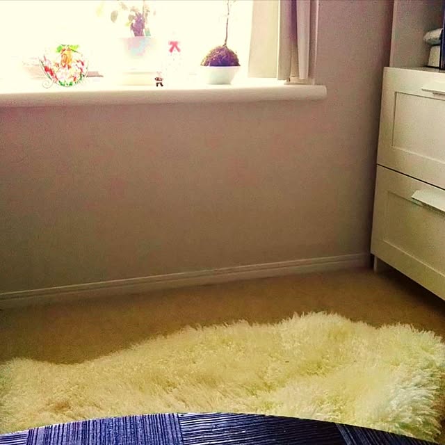 riisaさんの実例写真