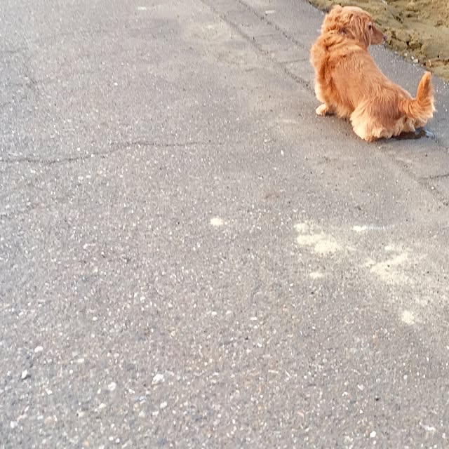 sakuさんの実例写真