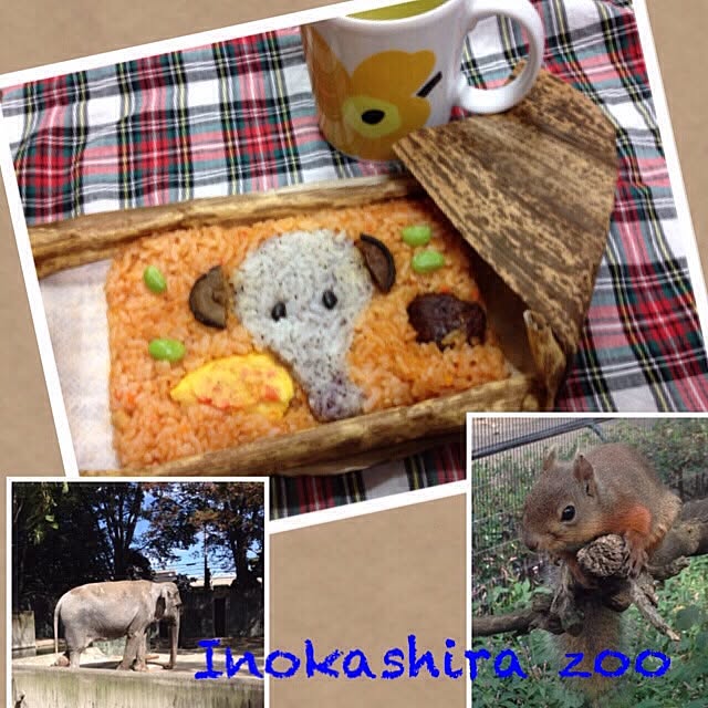 chiekoさんの実例写真