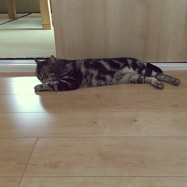 richanさんの実例写真