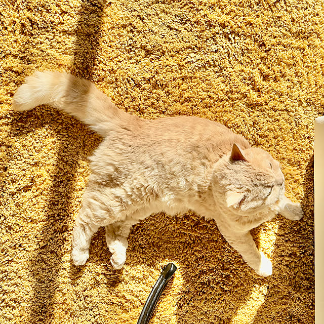 naokoさんの部屋