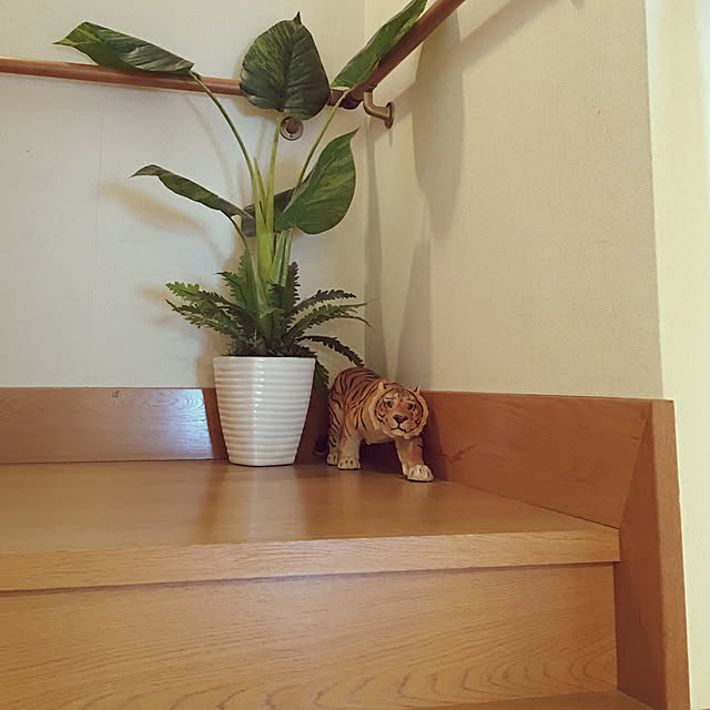doragon_pansarさんの実例写真