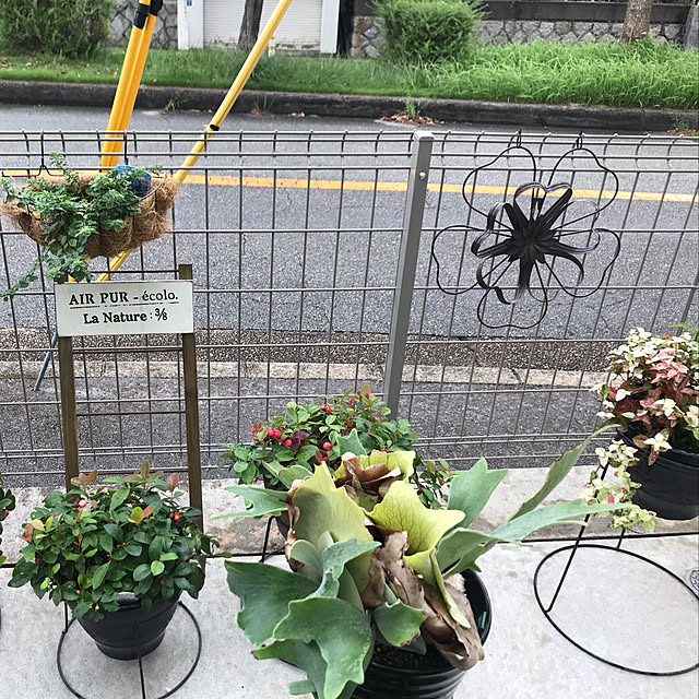 MIUさんの実例写真