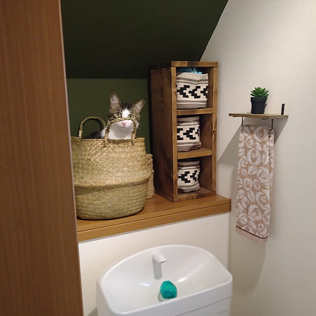 バス/トイレ/ねこのいる日常/猫と暮らす家/ねこと暮らす/DIY...などのインテリア実例 - 2023-02-02 10:09:12