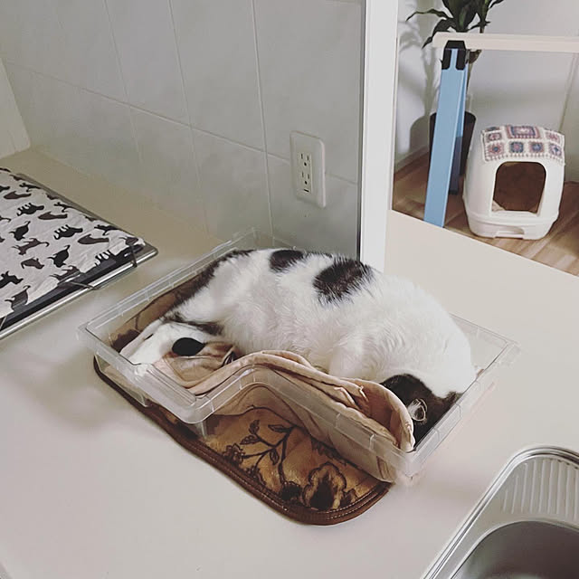hemukoさんの実例写真