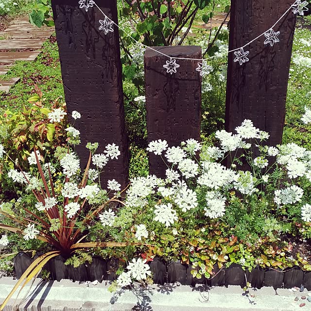 nononさんの実例写真