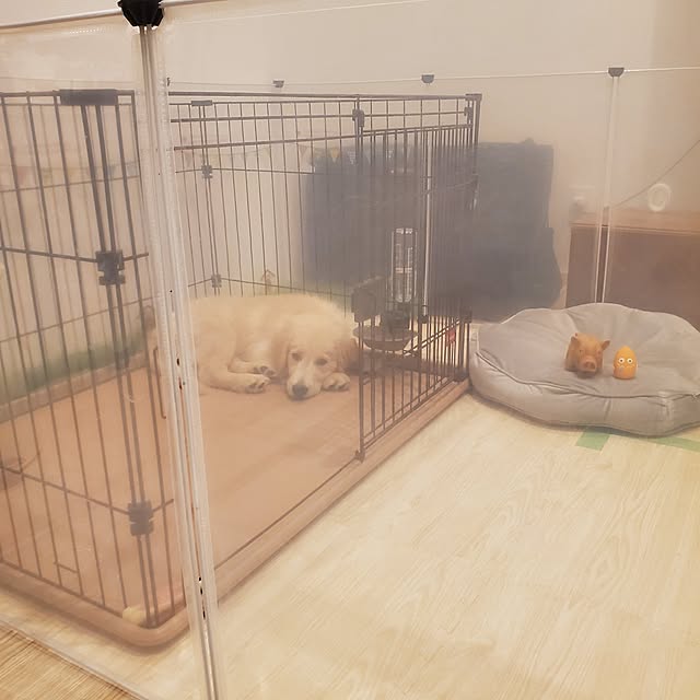 mogさんの部屋