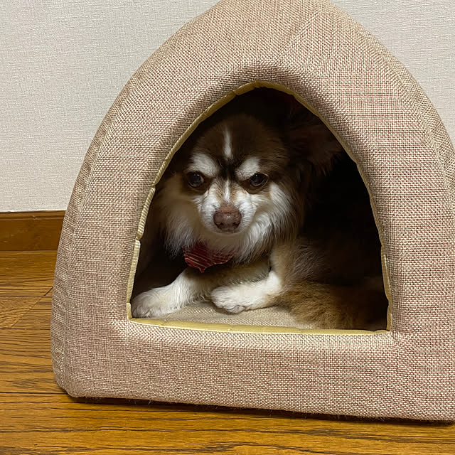 chIoeさんの部屋