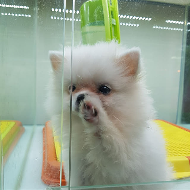 Yukaさんの実例写真