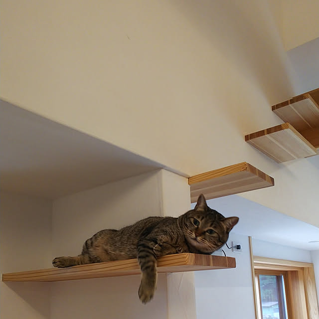 youkoasaさんの実例写真