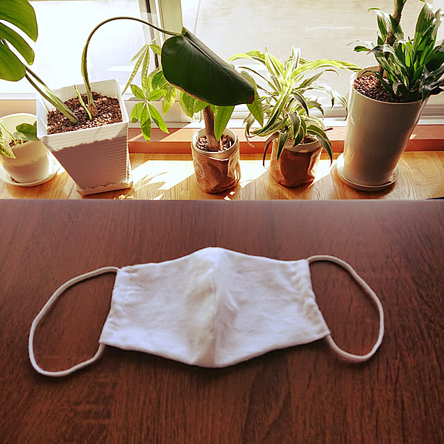 taeさんの実例写真