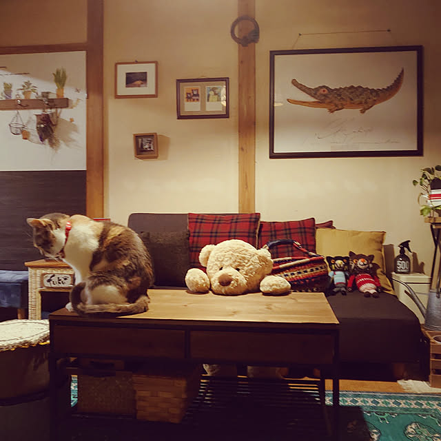 fukuさんの実例写真