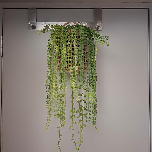 noaさんの実例写真